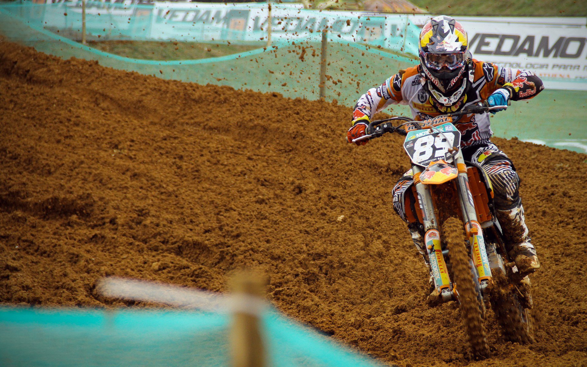 回顾跳水世界杯双人组完美同步,世界双人跳水冠军