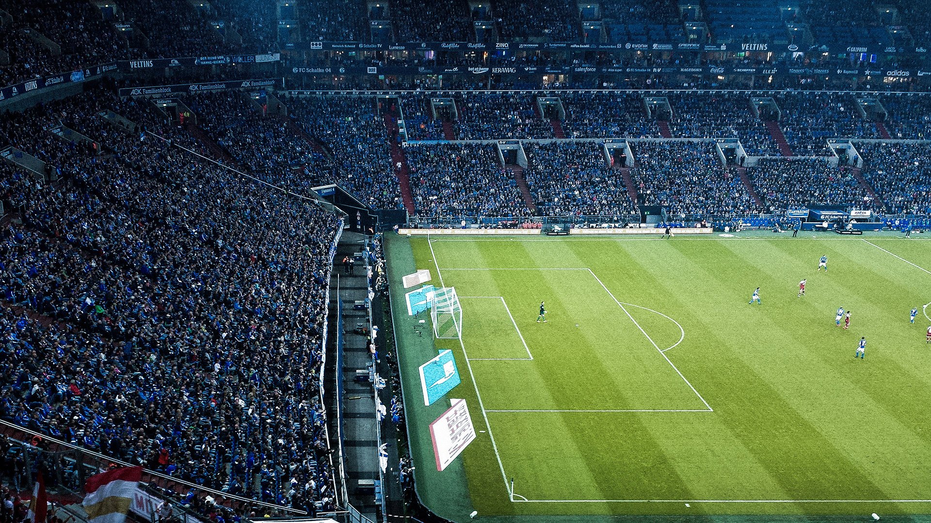 回顾跳水世界杯双人组完美同步,世界双人跳水冠军