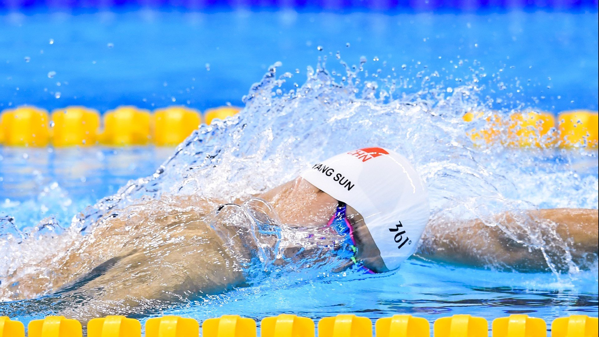 巴西马术协会举办马术运动员国际交流活动,促进文化互鉴。,巴西运动员马拉松