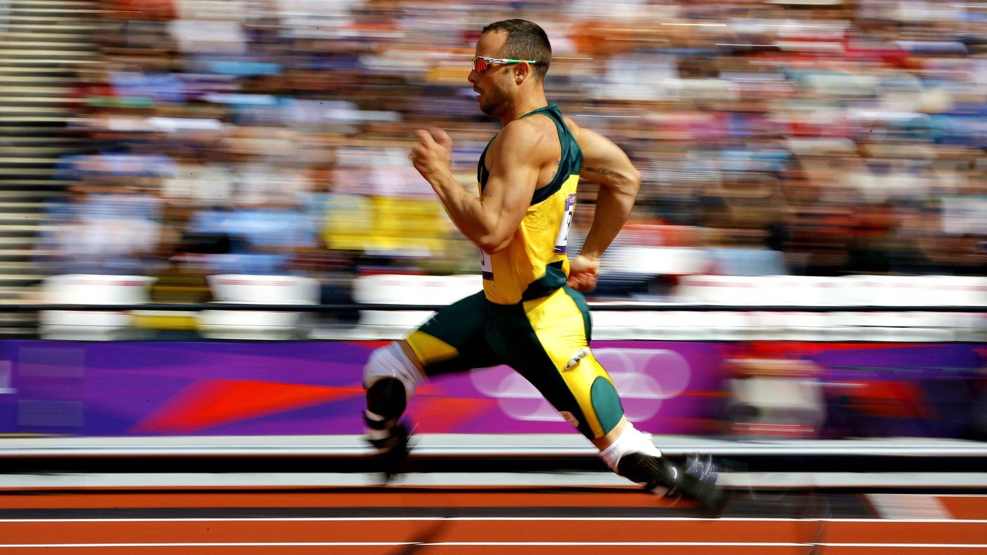 日本骑手佐藤健一在2024年东京国际障碍赛中以“飞翔之星”马匹获得冠军,感人至深。